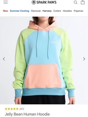Pastel Colorblock Hoodie - Peach, light blue & Lemon